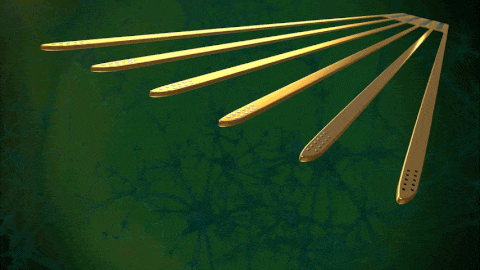 Cambridge-NeuroTech-Advanced-Silicon-Neural-Probes-for-electrophysiology-and-optogenetics