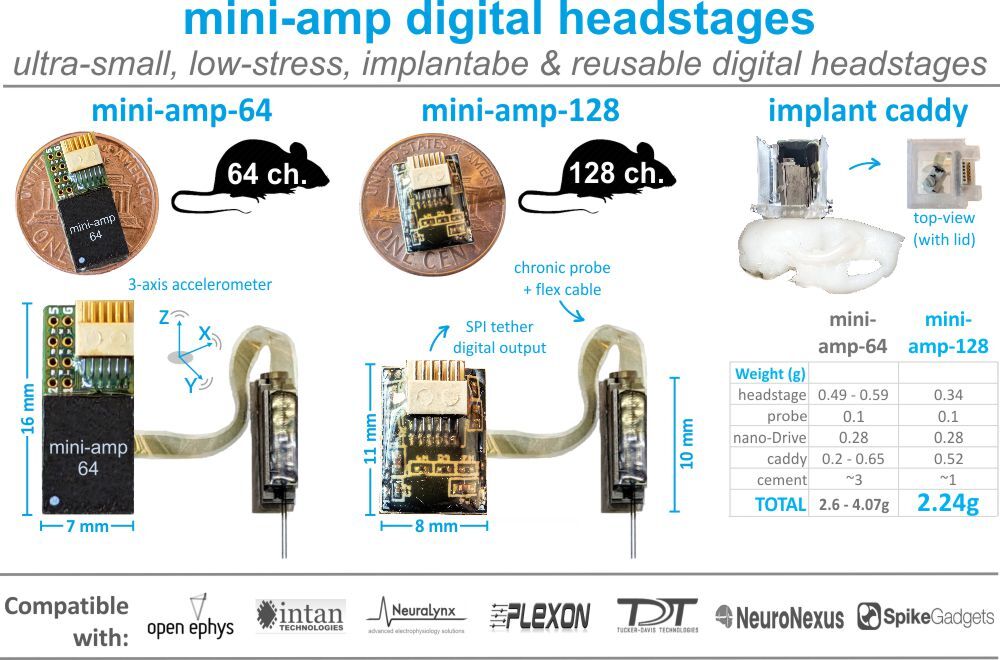 Cambridge-Neurotech-Silicon-Neural-Probe-Miniature-Digital-Headstage for electrophysiology in mice and rats