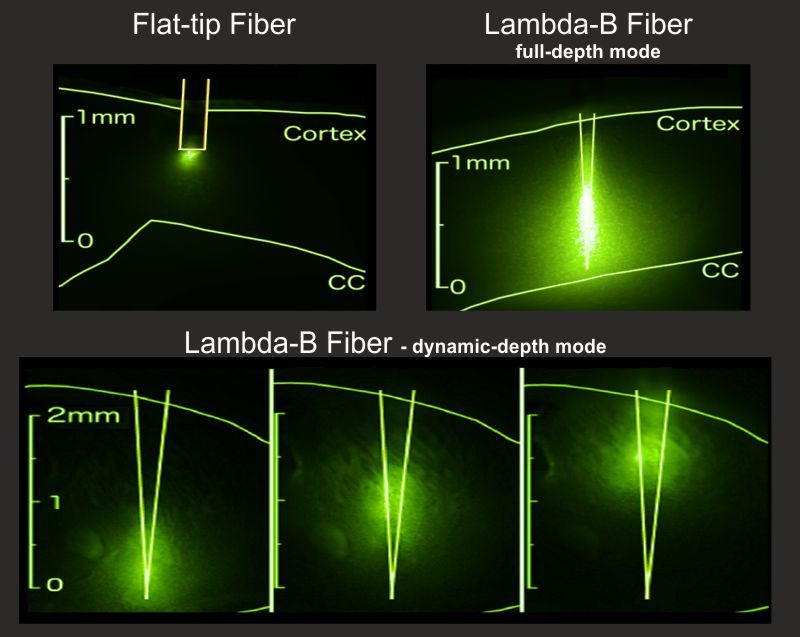 Taper-tip-Lambda-B-fibers-for-whole-depth-and-dynamic-depth-optogenetic-stimulation.jpg#asset:754