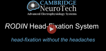 Discover our innovative RODIN head-fixation system