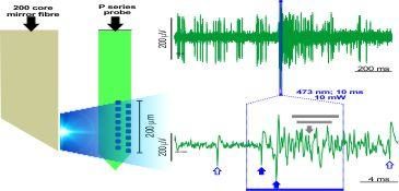 Photo-activated units in mouse brainstem