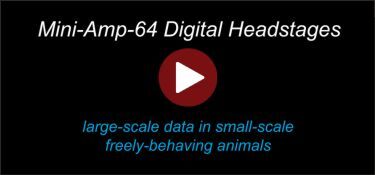mini-amp-headstages-video-thumbnail.jpg#asset:5111