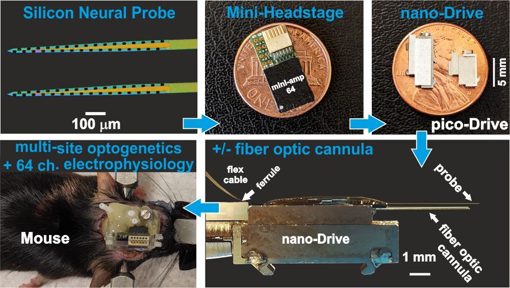 nano-Drive pico-Drive electrophysiology optrode assembly